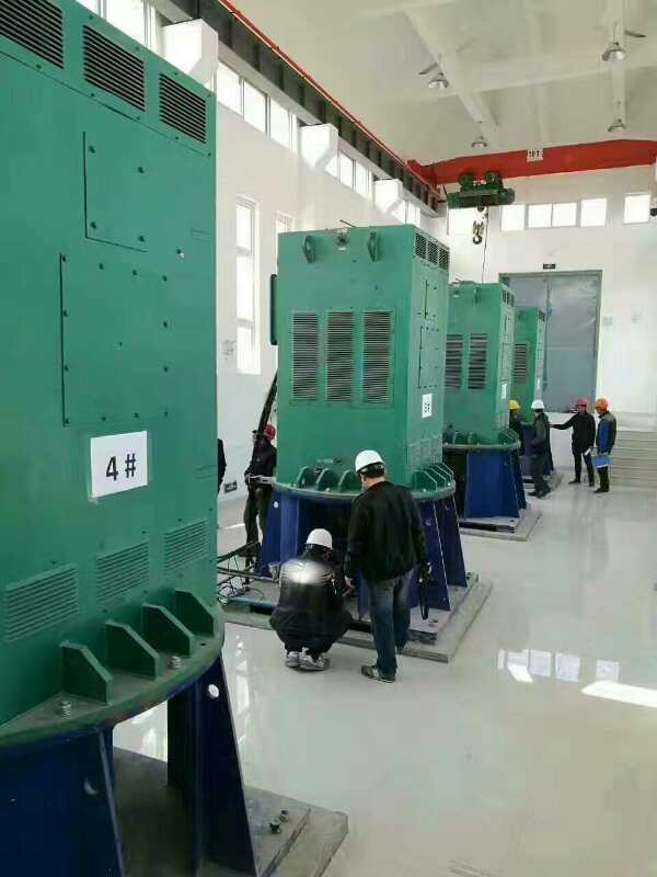 科尔沁右翼前某污水处理厂使用我厂的立式高压电机安装现场安装尺寸